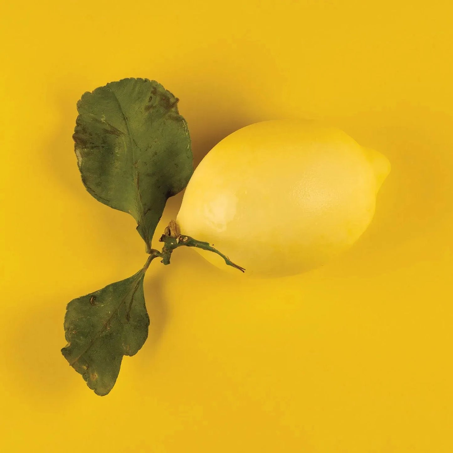 SILIKOMART | LIMONE 30 CON CUTTER
