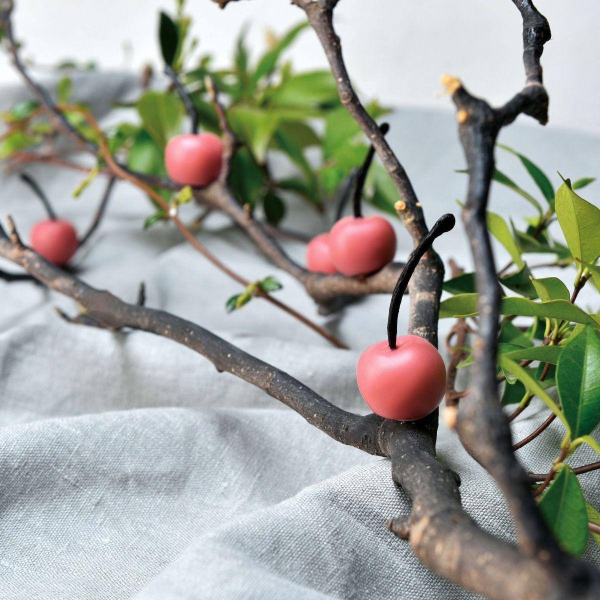 PAVONI | CHERRY GG016