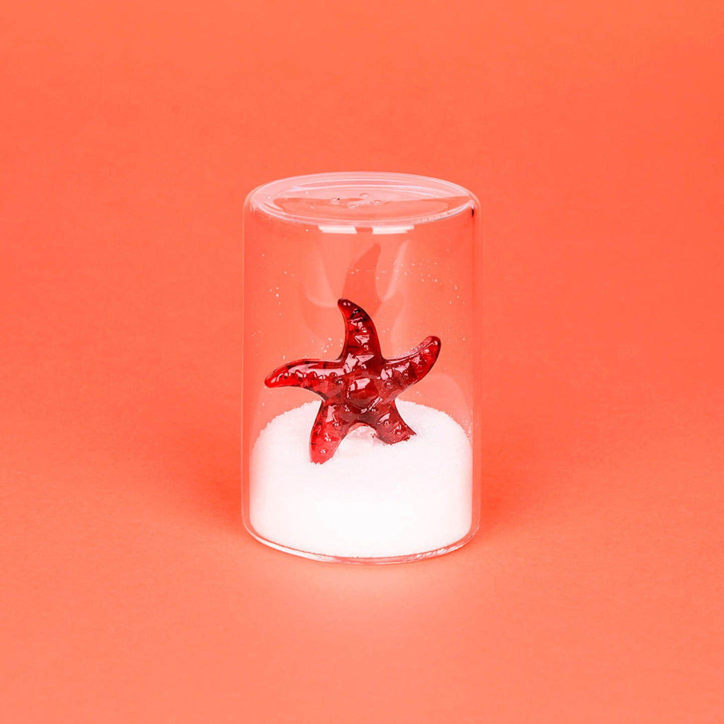 BALVI | SALIERA STARFISH