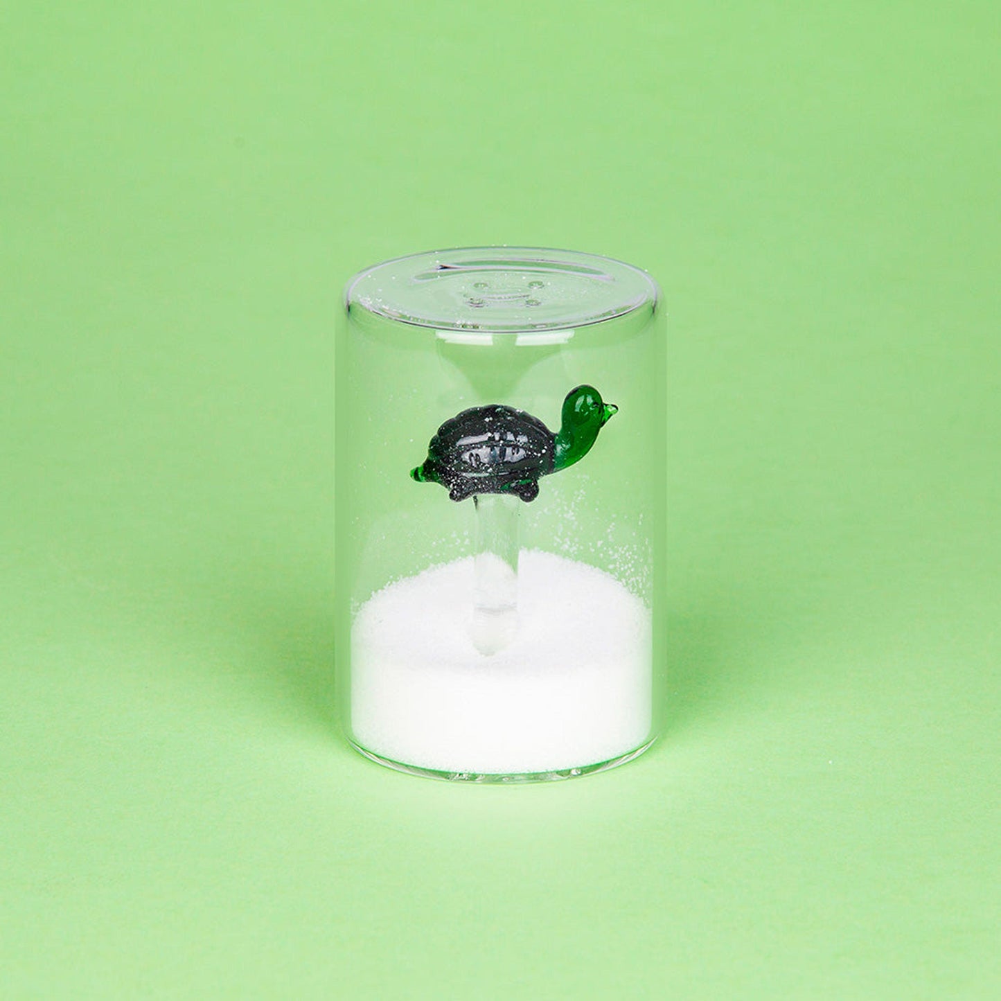 BALVI | SALIERA TURTLE