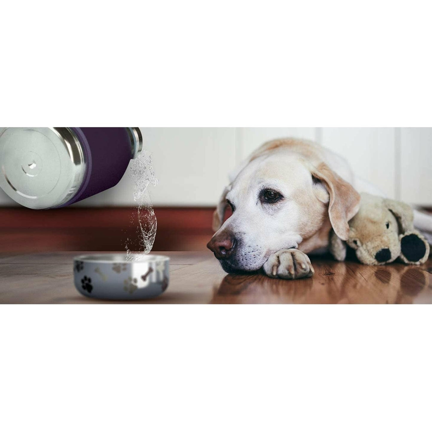ASOBU | BORRACCIA DOG BOWL