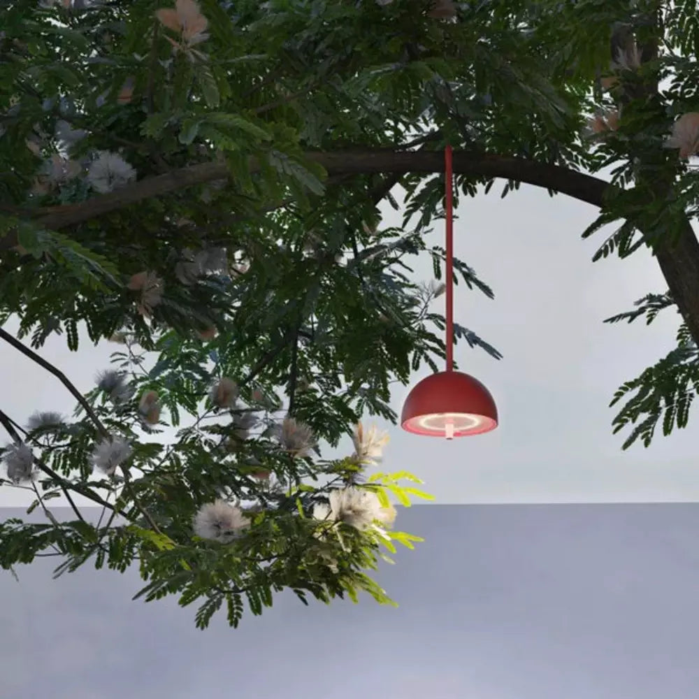 SOMPEX | LAMPADA HOOK
