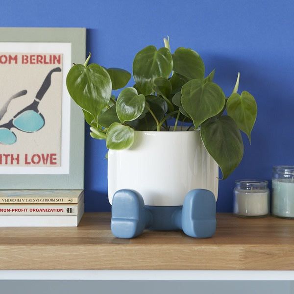BALVI | VASO DA FIORI IN CERAMICA MR SITTY GOLD EDITION