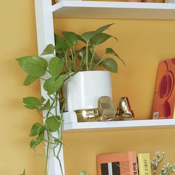 BALVI | VASO DA FIORI IN CERAMICA MR SITTY GOLD EDITION