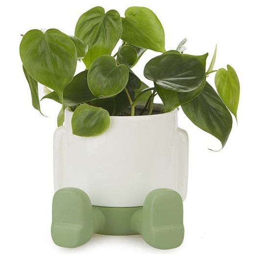 BALVI | VASO DA FIORI IN CERAMICA MR SITTY GOLD EDITION