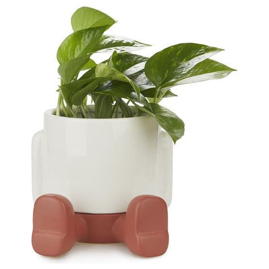 BALVI | VASO DA FIORI IN CERAMICA MR SITTY GOLD EDITION