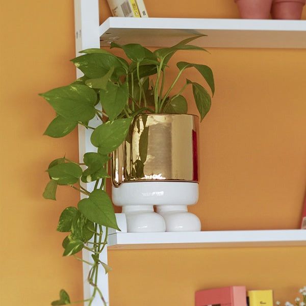 BALVI | VASO DA FIORI CERAMICA MR STANDY