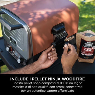 Ninja Woodfire OO101EU Four Électrique 370°C