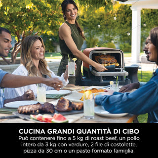 Ninja Woodfire OO101EU Four Électrique 370°C