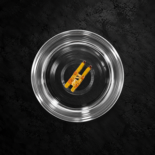 Zafferano Teca Winter Games – Bicchieri in Vetro Borosilicato 35 cl