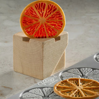 Stampo Citrus Pavoni Silicone Platinico 12 Cavità