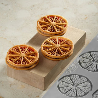 Stampo Citrus Pavoni Silicone Platinico 12 Cavità