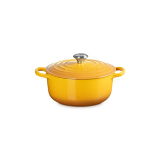 LE CREUSET | COCOTTE EVOLUTION 20 CM IN GHISA VETRIFICATA
