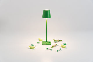 Poldina Mini Pro Zafferano