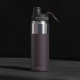Gourde Isotherme Asobu Alpine Flask 24h Acier