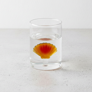 Verre Balvi Atlantis Shell 300 ml Verre Borosilicate
