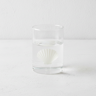 BALVI | BICCHIERI ATLANTIS SHELL