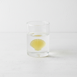 Verre Balvi Atlantis Shell 300 ml Verre Borosilicate