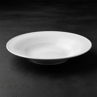 Assiettes Porcelaine Seltmann Blues Made in Germany