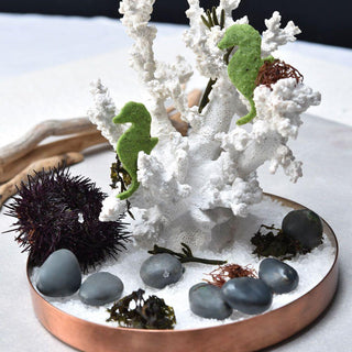 Stampo Pavoni Stone 28 Cavità Silicone Platino