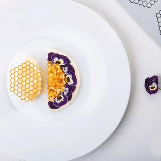 Pavoni Honeycomb Silicone Mould GG047 30x20 cm