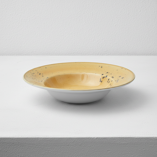 Assiette Coupe Sango Kaden Porcelaine 26 cm