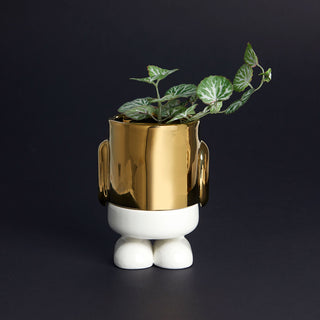 Mini vaso da fiori Mr.Standy Gold Edition ceramica