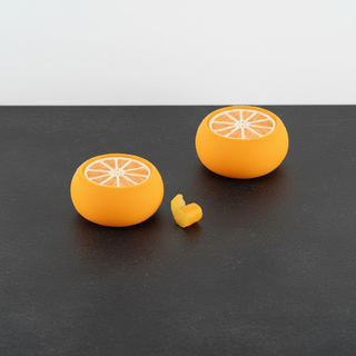 Stampo Citrus Silikomart Professional 6 Cavità 100ml