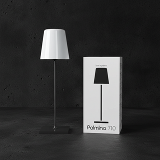 Palmina 710 LED Table Lamp RGB Rechargeable