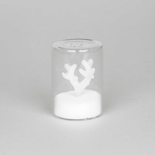 Saliera Atlantis Balvi Vetro Borosilicato 8,5 cm