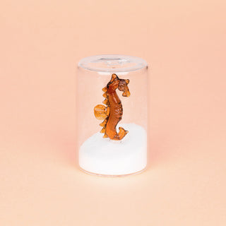 Saliera Atlantis Balvi Vetro Borosilicato 8,5 cm
