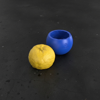 Yuzu e stampo blu su cemento