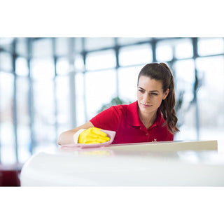 VILEDA PROFESSIONAL |PANNO R-MICROTUFF SWIFT